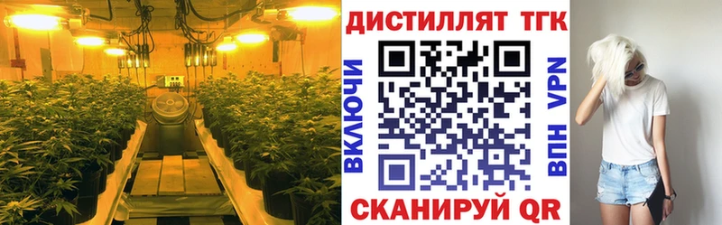 площадка состав  Называевск  ТГК гашишное масло 